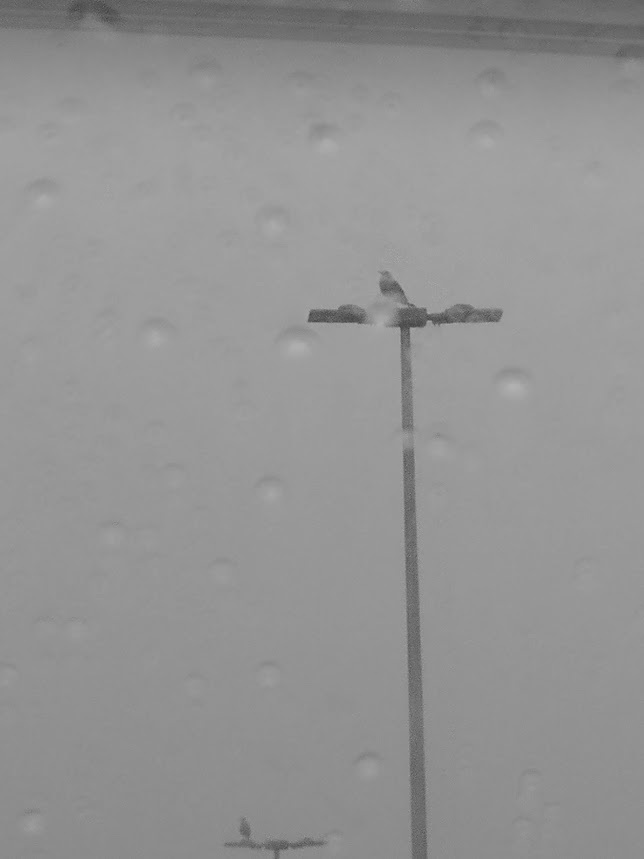 d0133625_16391274.jpg