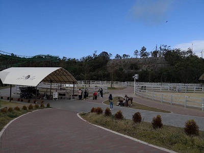 d0133625_17150138.jpg