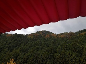 d0133625_21051960.jpg