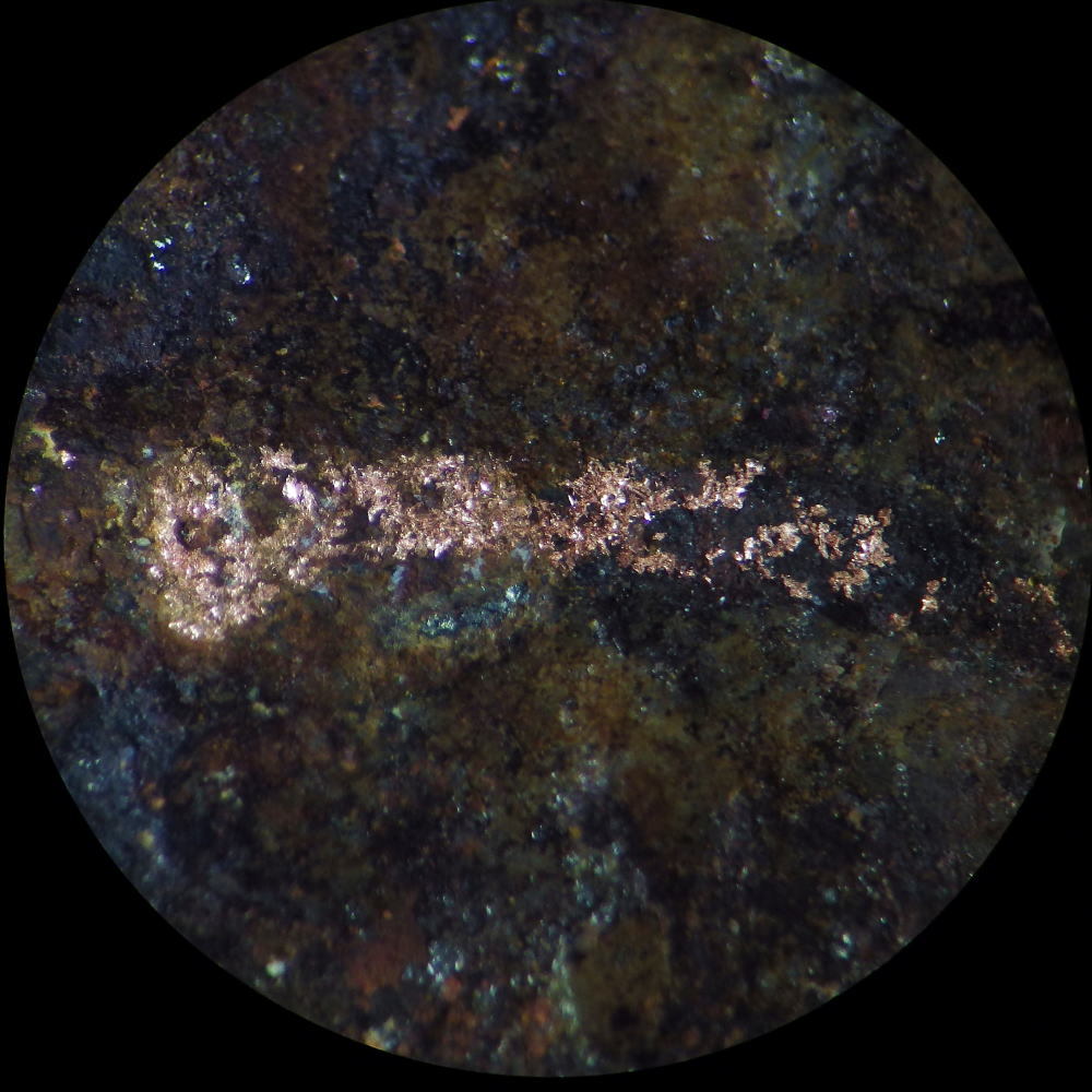 d0045626_21244568.jpg