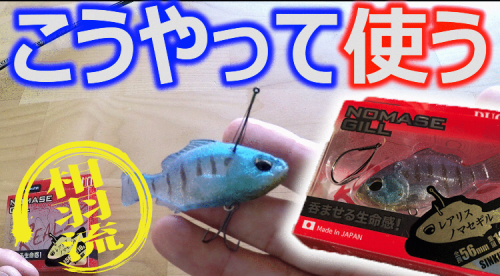 使い方をマスター 相羽純一の改過自新