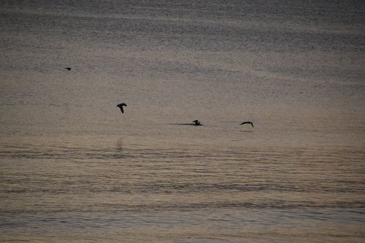c0162128_08080419.jpg
