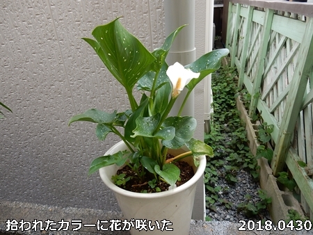 e0033229_1841015.jpg