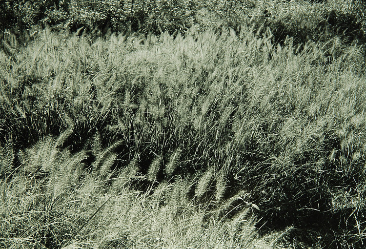 c0381632_20403558.jpg