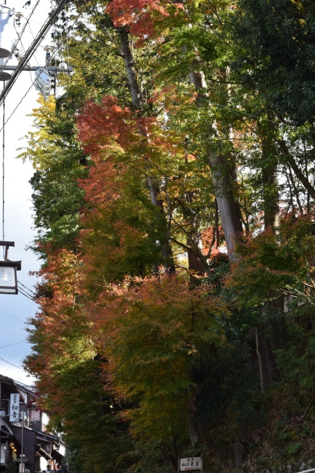 吉野山の紅葉_a0228333_03010081.jpg