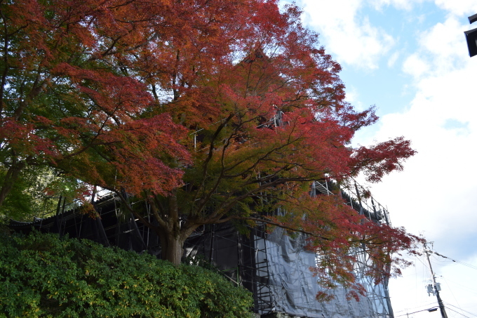 吉野山の紅葉_a0228333_03022839.jpg