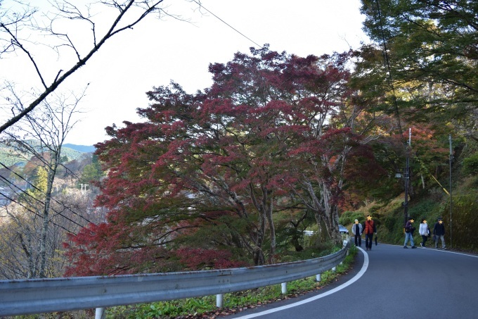 吉野山の紅葉_a0228333_03034007.jpg