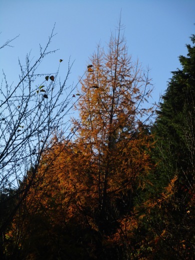 d0127634_08471551.jpg