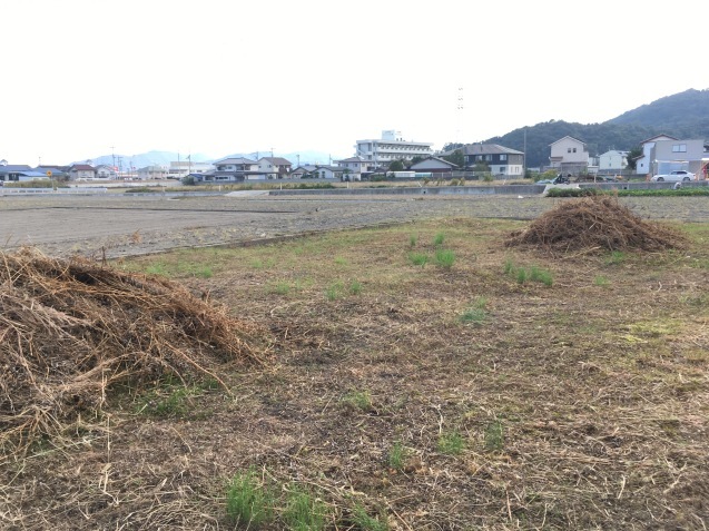 f0068334_13031920.jpeg