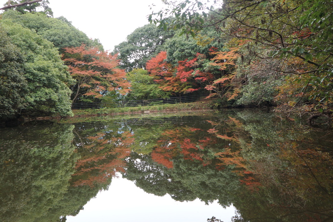 白馬渓 鎮南山 臼杵市 の紅葉観賞 山に癒されて