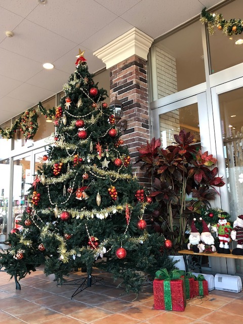 f0131438_11511166.jpeg