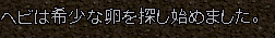 b0402739_21493094.png