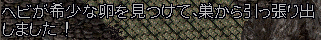b0402739_21510162.png