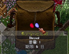 b0402739_21513262.png