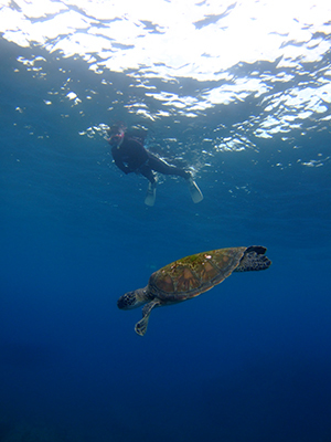 b0189640_16343366.jpg