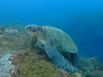 b0189640_16351993.jpg
