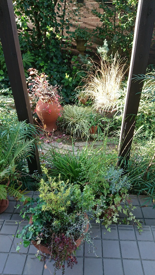 d0326241_08014555.jpg