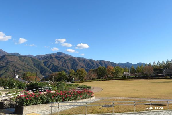 e0365941_19345380.jpg
