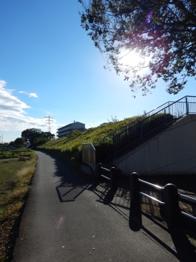『あの日の選択』を悔いる…その18。_b0136045_22164148.jpg