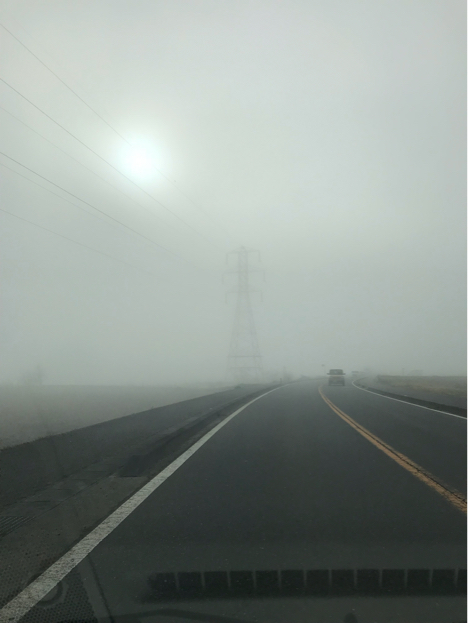d0314745_15504970.jpg