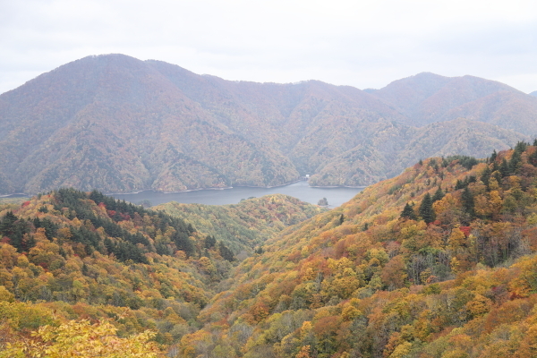 c0236046_08144076.jpg