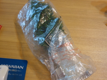 f0227248_11134325.jpg
