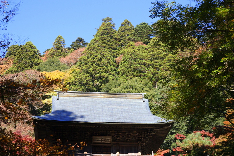 b0153550_17410909.jpg