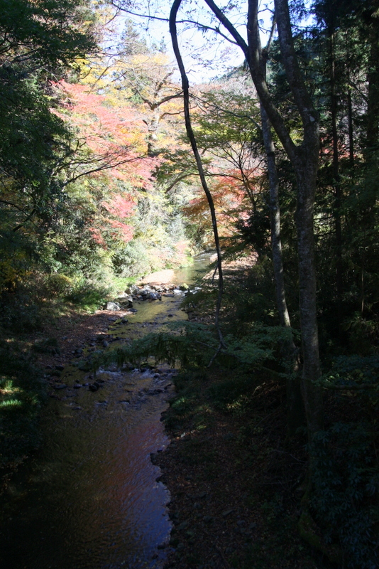 b0153550_17413109.jpg