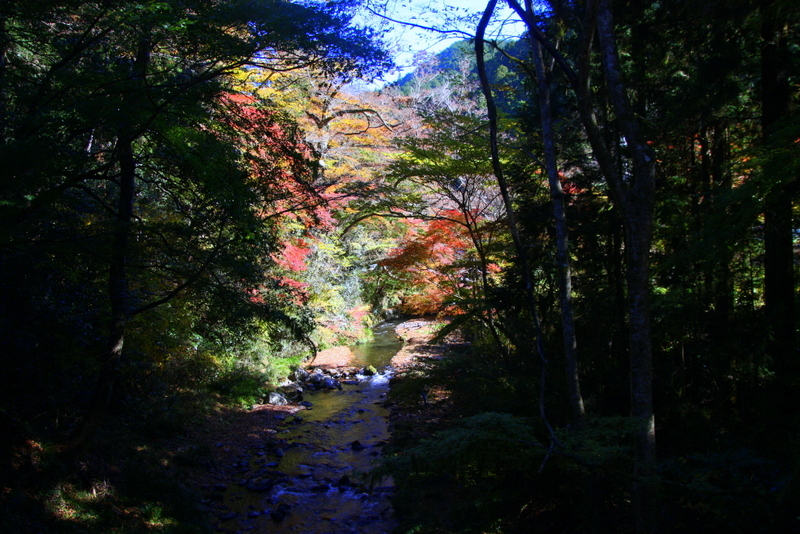 b0153550_17414333.jpg