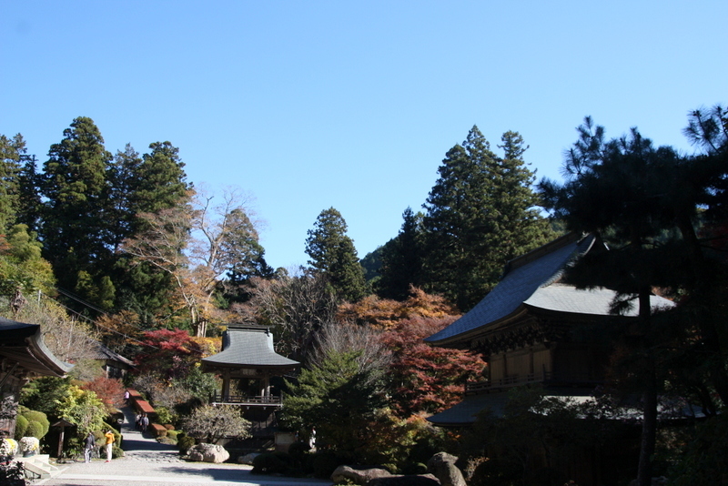 b0153550_17462211.jpg