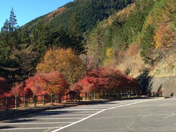 　　　　　　　　　　　　&#127809;付知峡紅葉情報最終&#127810;_e0020051_12561022.jpg