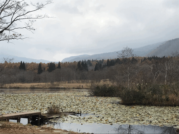 f0396551_20570297.gif
