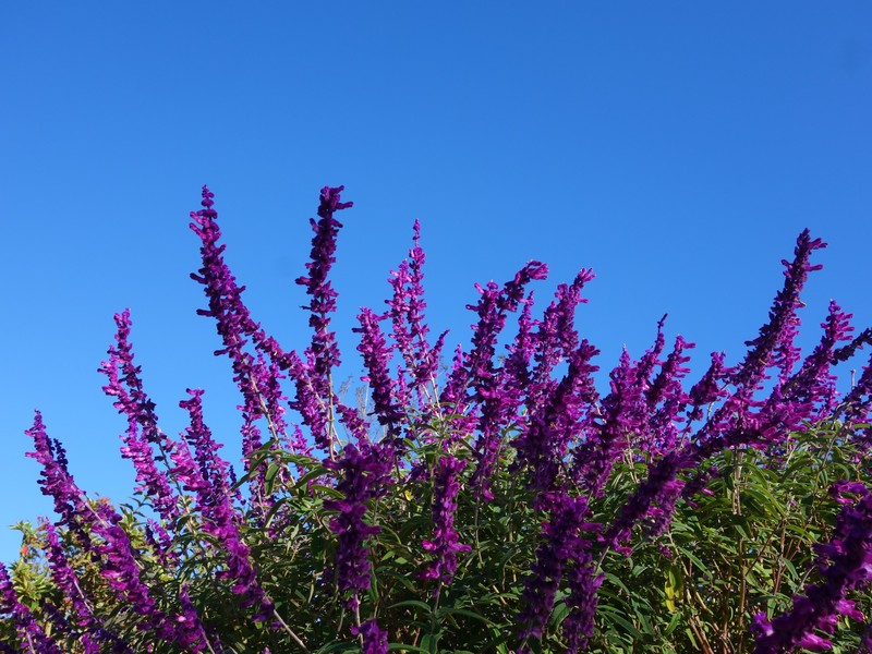 f0291154_018133.jpg