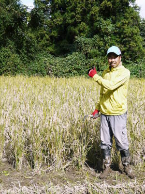 第6回菊池米食味コンクール 明日(11/17)は第2回九州のお米食味コンクールin菊池が開催されます!!_a0254656_19223363.jpg