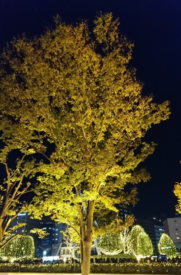 f0337357_19065340.jpg
