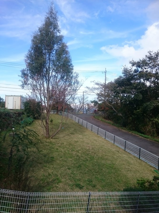 a0046161_13584855.jpg