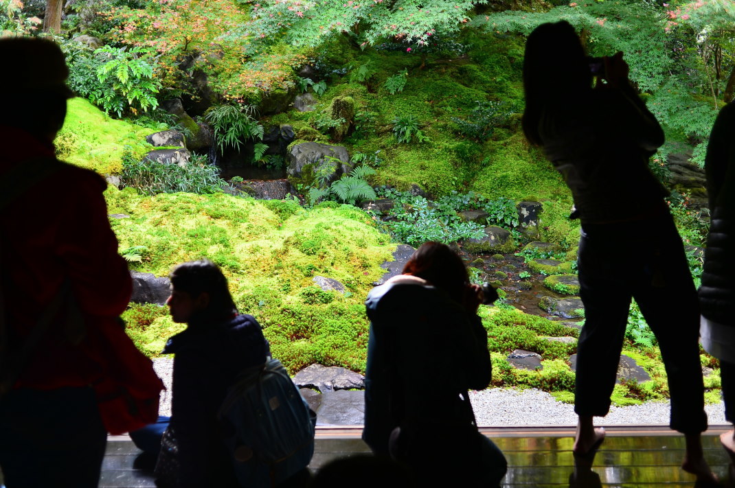 d0090161_16060435.jpg