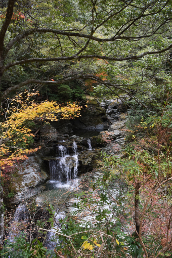 f0203164_22582226.jpg