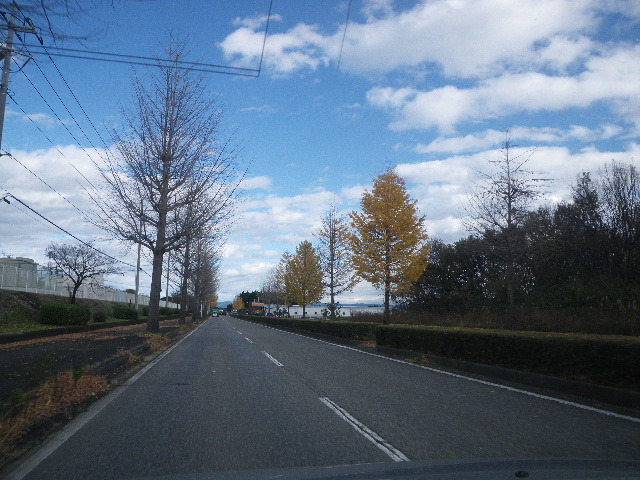 f0042665_17283329.jpg
