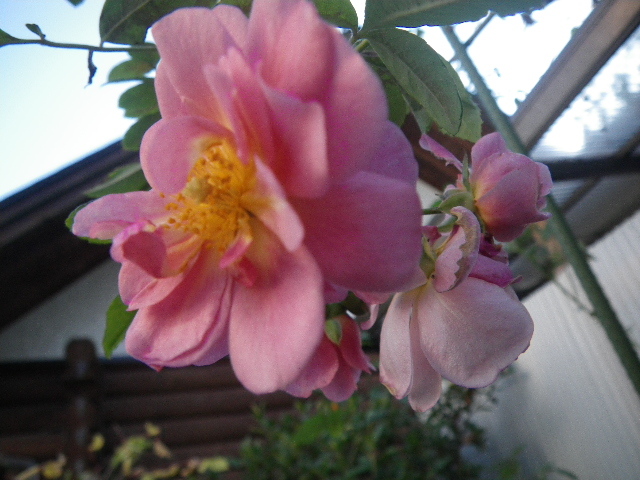 f0042665_17315158.jpg