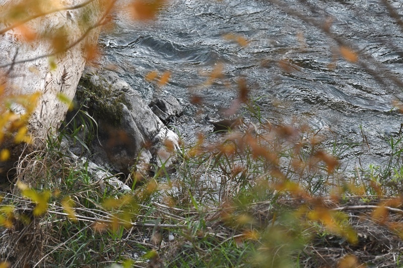 b0311071_11163830.jpg
