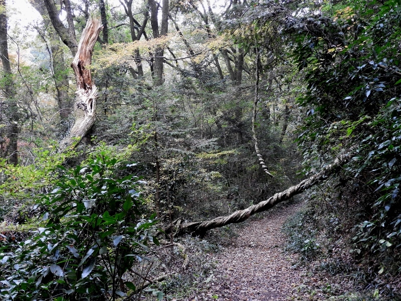 b0311071_11165394.jpg