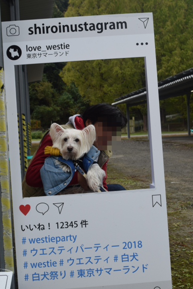 b0242873_00014208.png