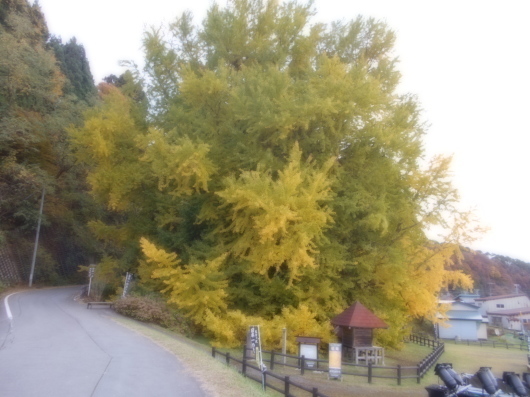 c0069380_13551553.jpg