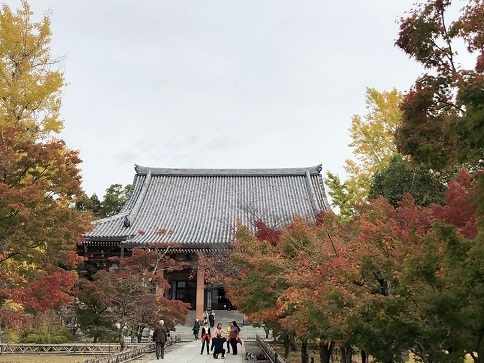 知積院　→　高台寺　　Ⅰ　智積院_d0341582_21302533.jpg