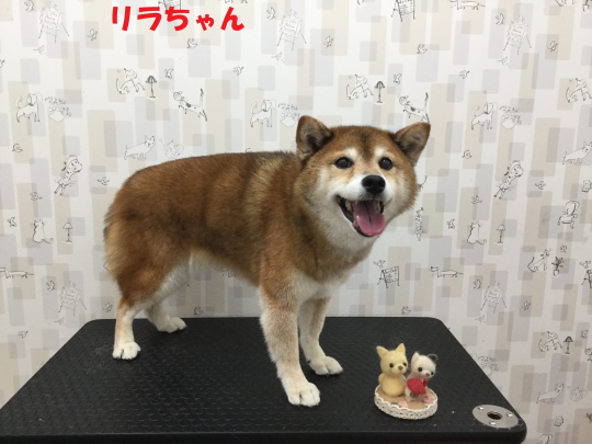 c0315684_16411259.png