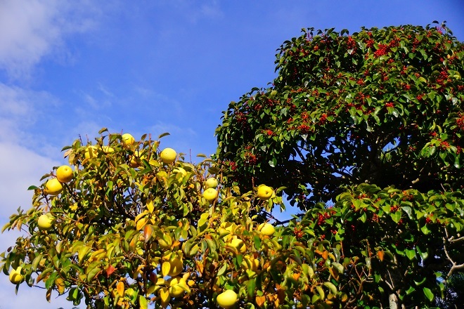 a0345188_01091704.jpg