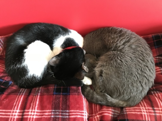 d0207491_13565571.jpeg