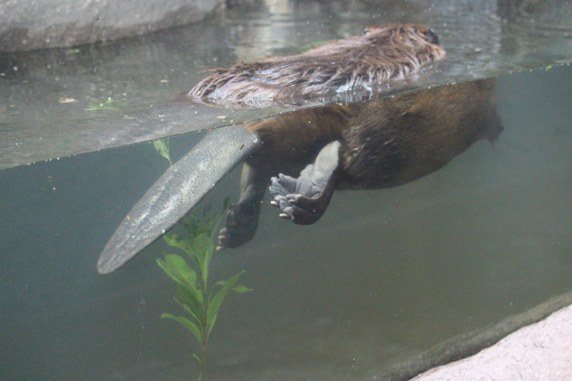 f0297893_18290432.jpg