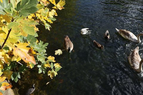 c0090198_17043351.jpg